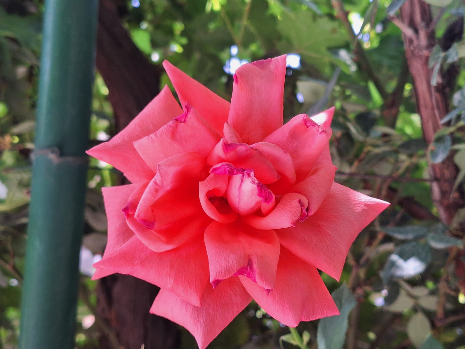 Фото Areni Wine Cellar