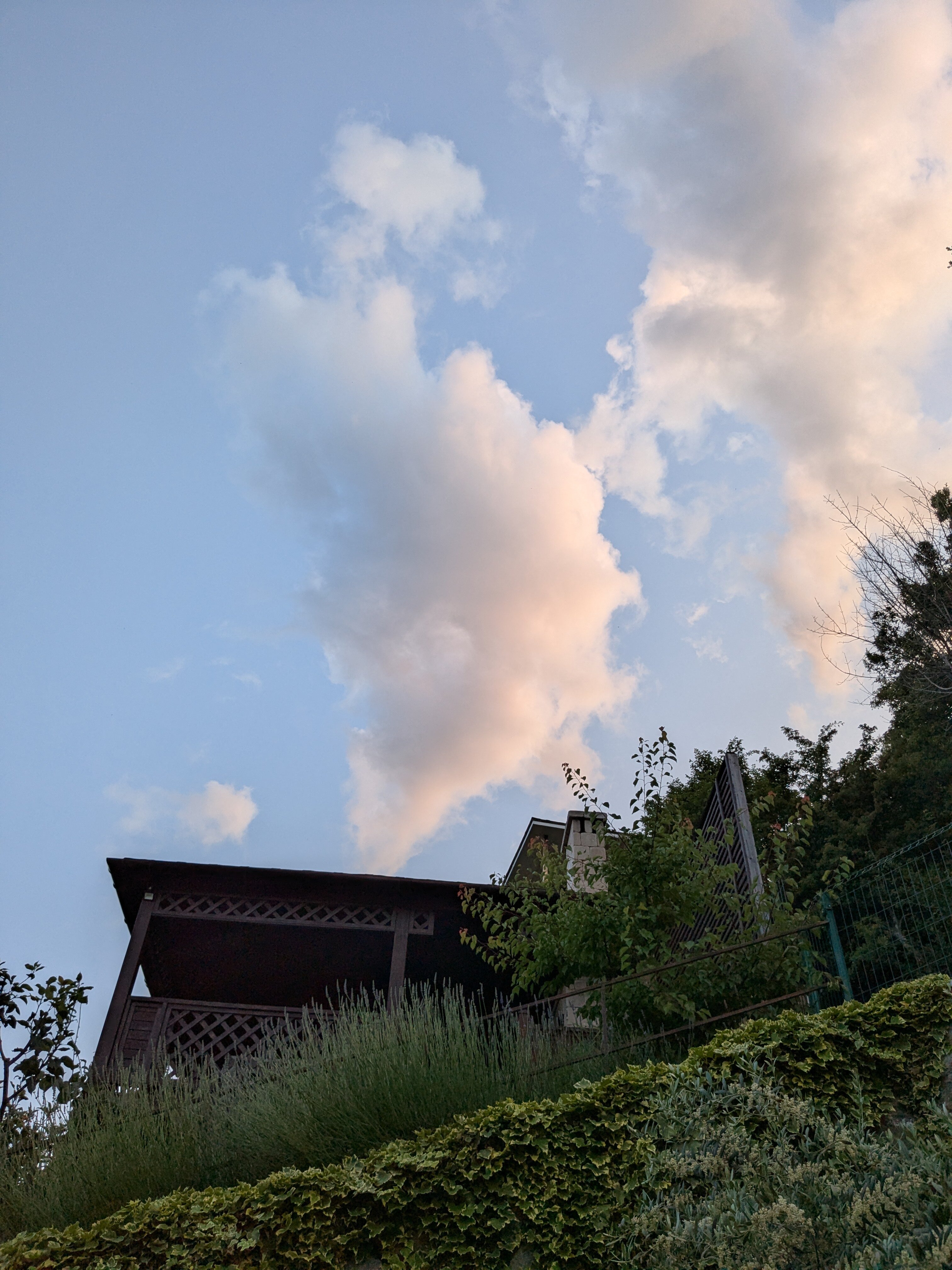 Фото Роза ветров