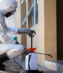 Disinfection, disinsection, deratization UniPest Pest Control and Fumigation Services, Izmit, photo