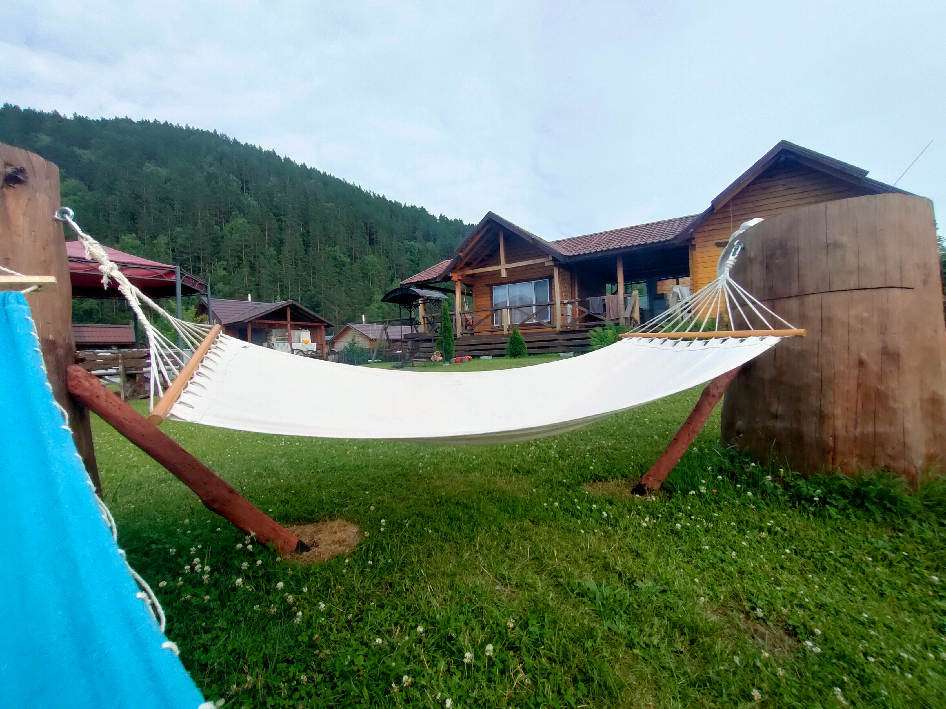 Фото Баюта Алтай