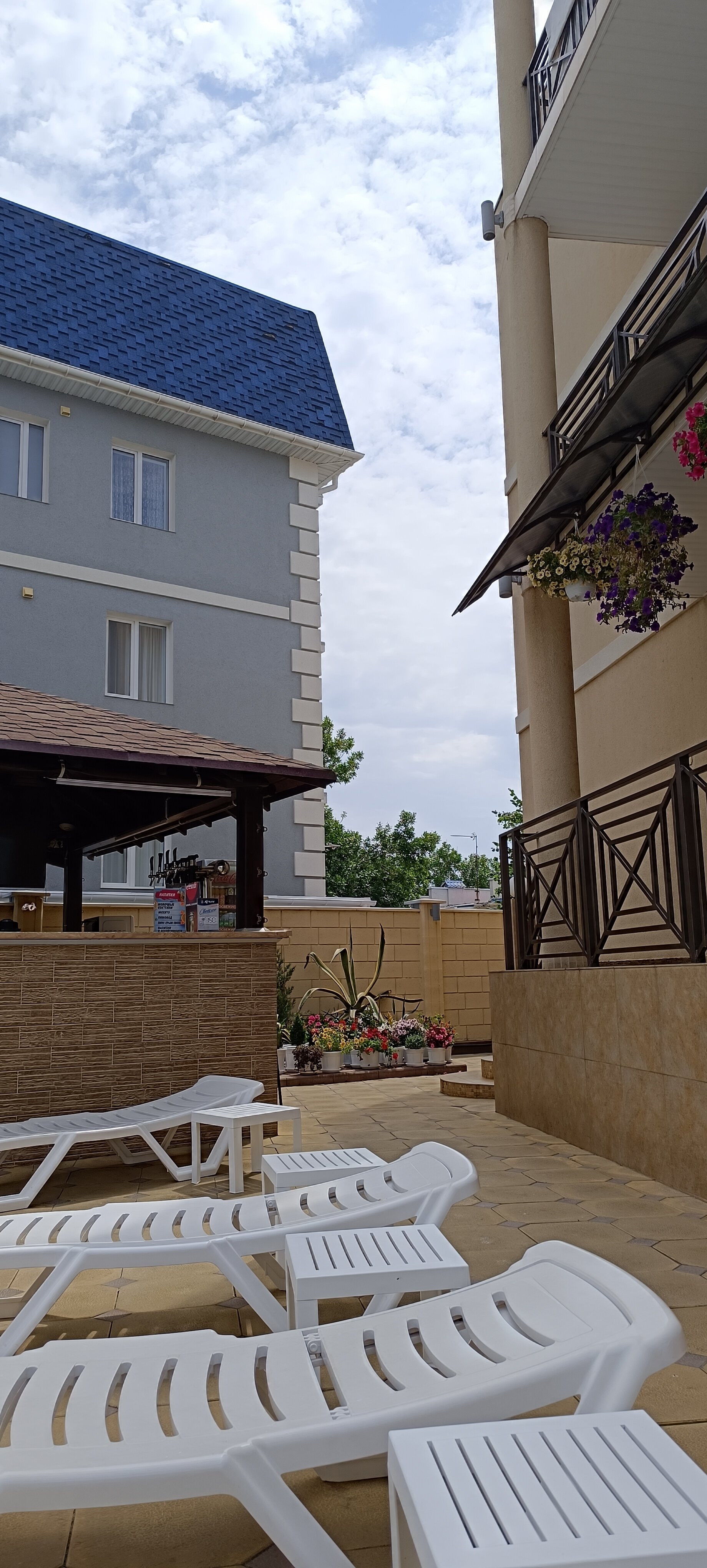 Фото Аврора