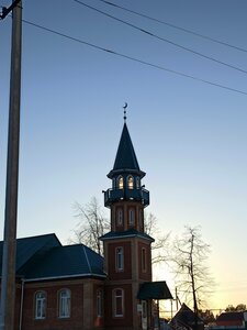 Mosque (Republic of Bashkortostan, Dyurtyulinskiy District, Semiletka Village), mosque