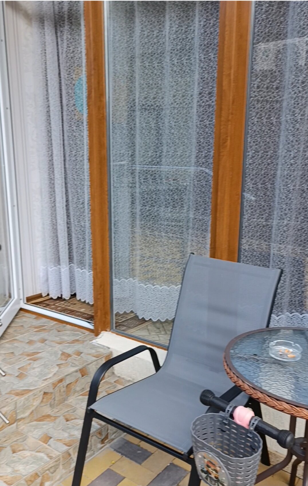 Фото Ленивый тюлень