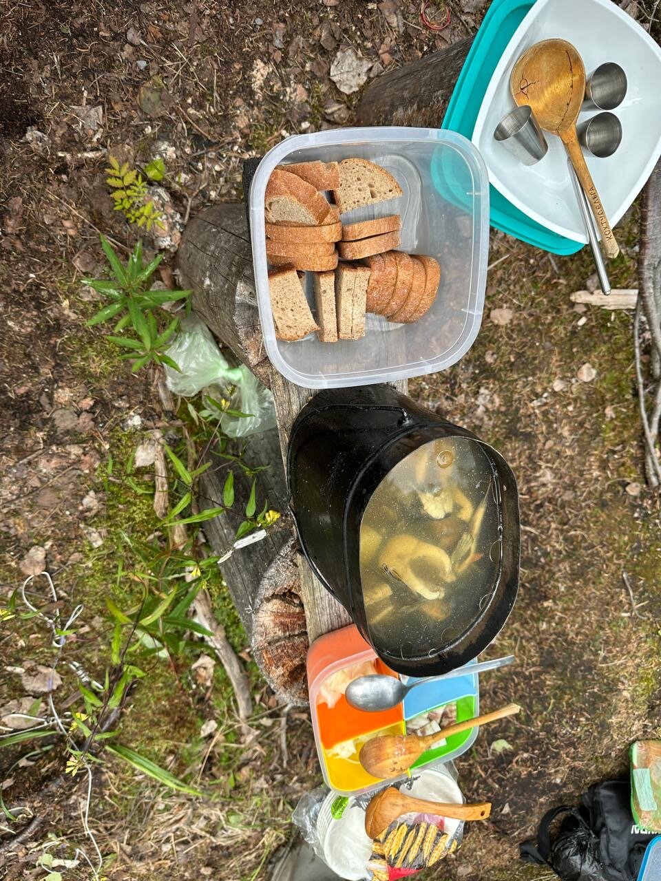 Фото Кохтусельга