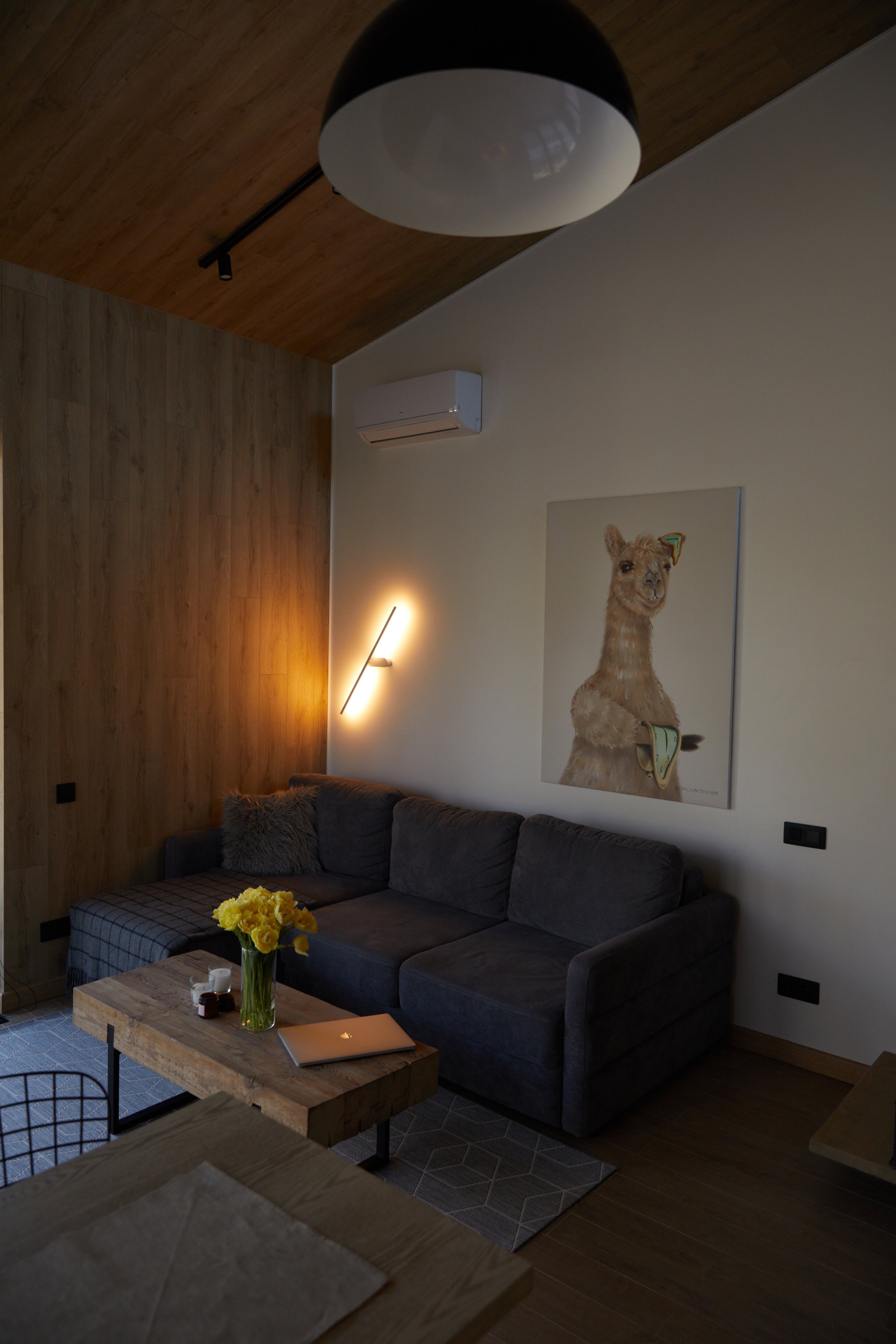 Фото Альпака