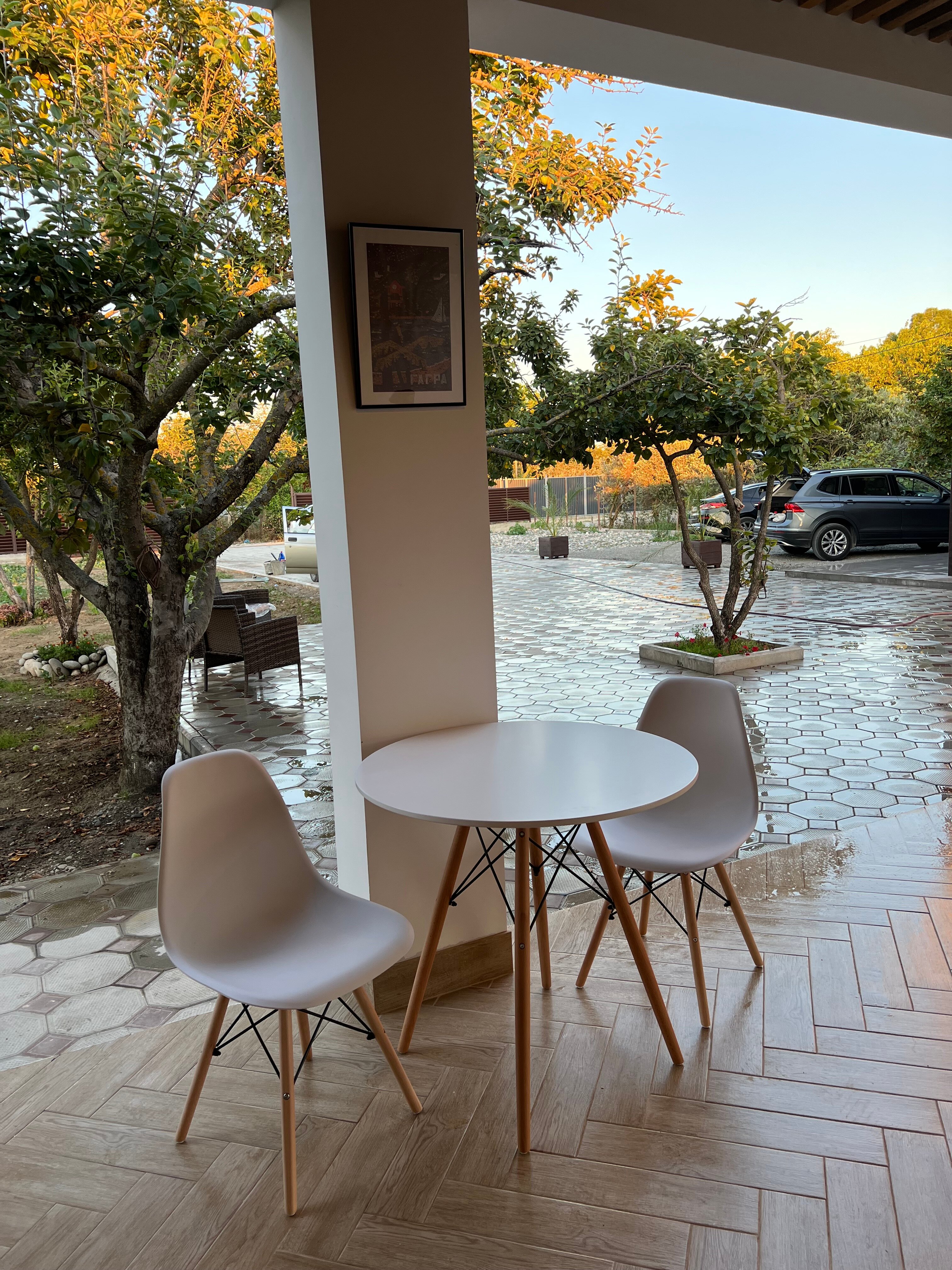 Фото Летний сад