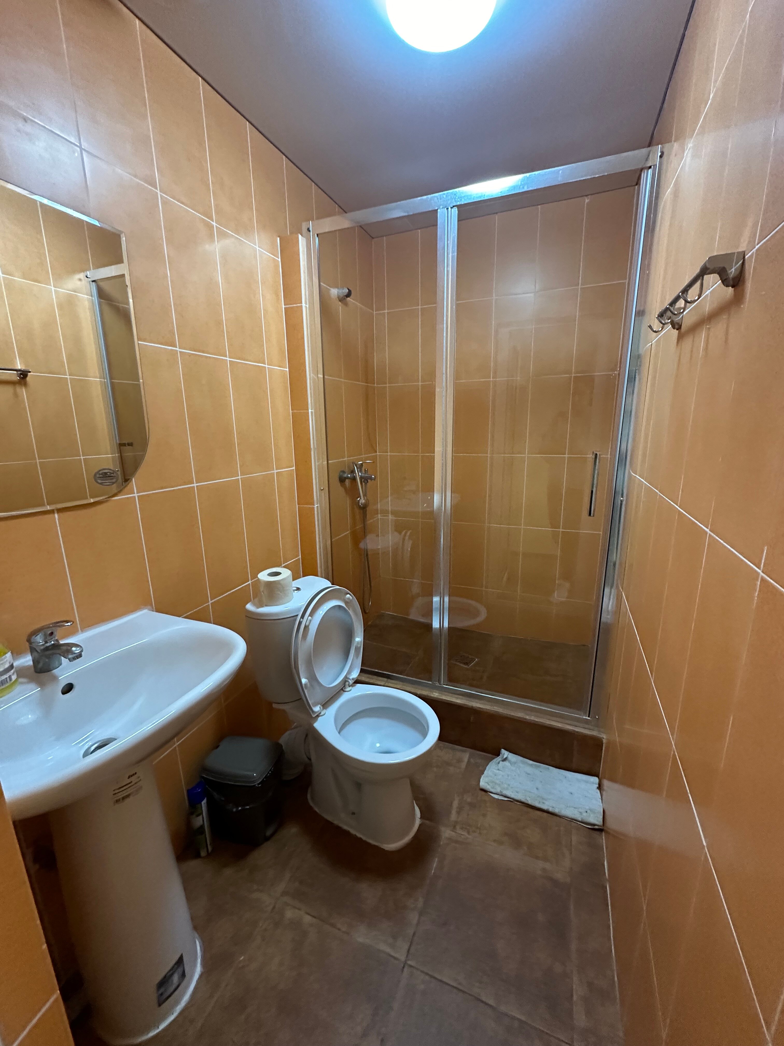 Фото Пальма Финик