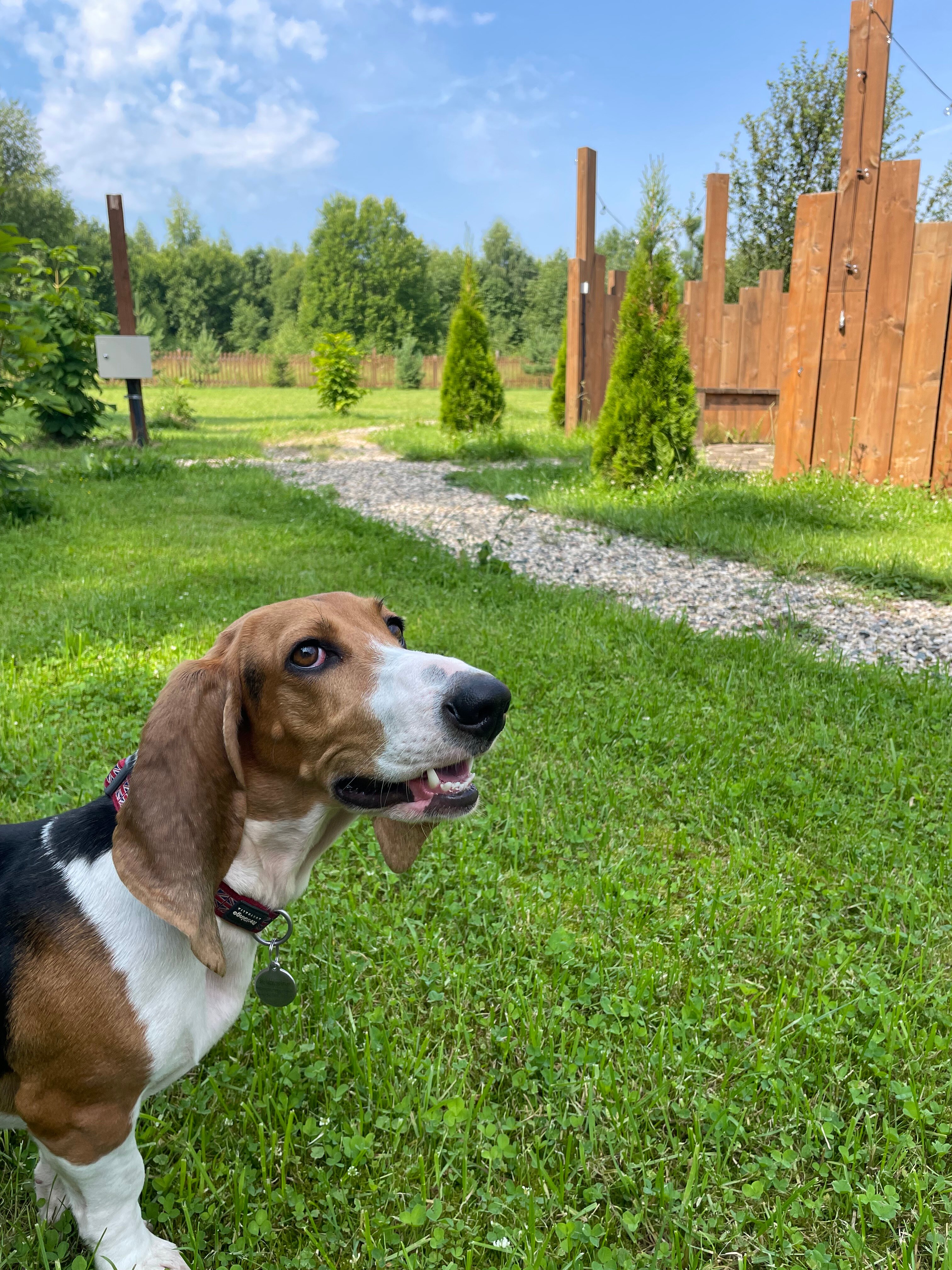 Фото Эко дача Берёза