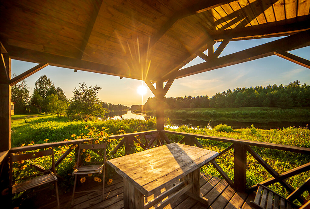 Фото Медведица