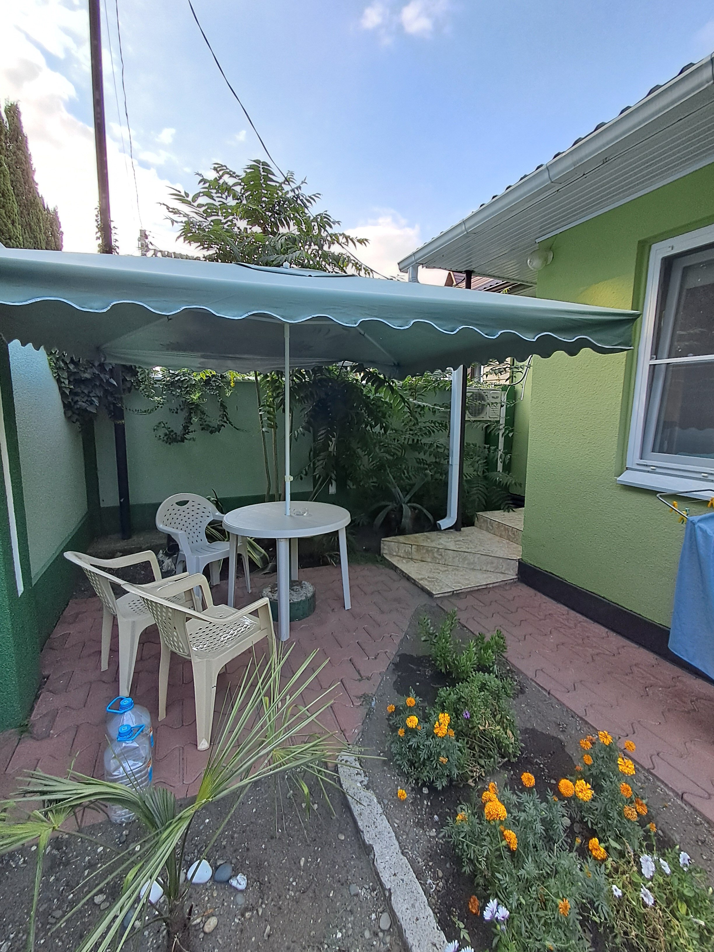 Фото Морель