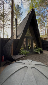 Shalash and Forest