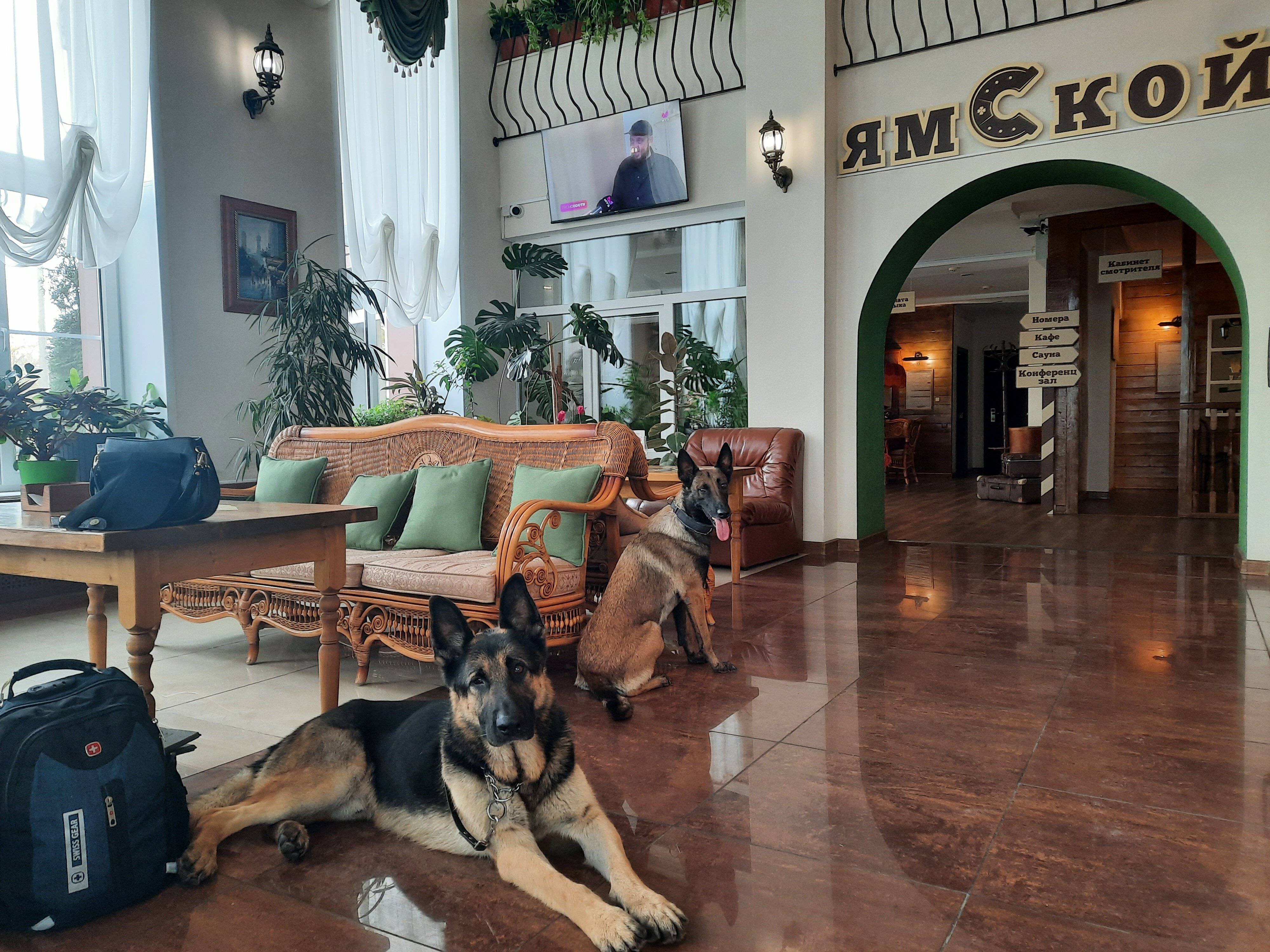 Фото Ямской