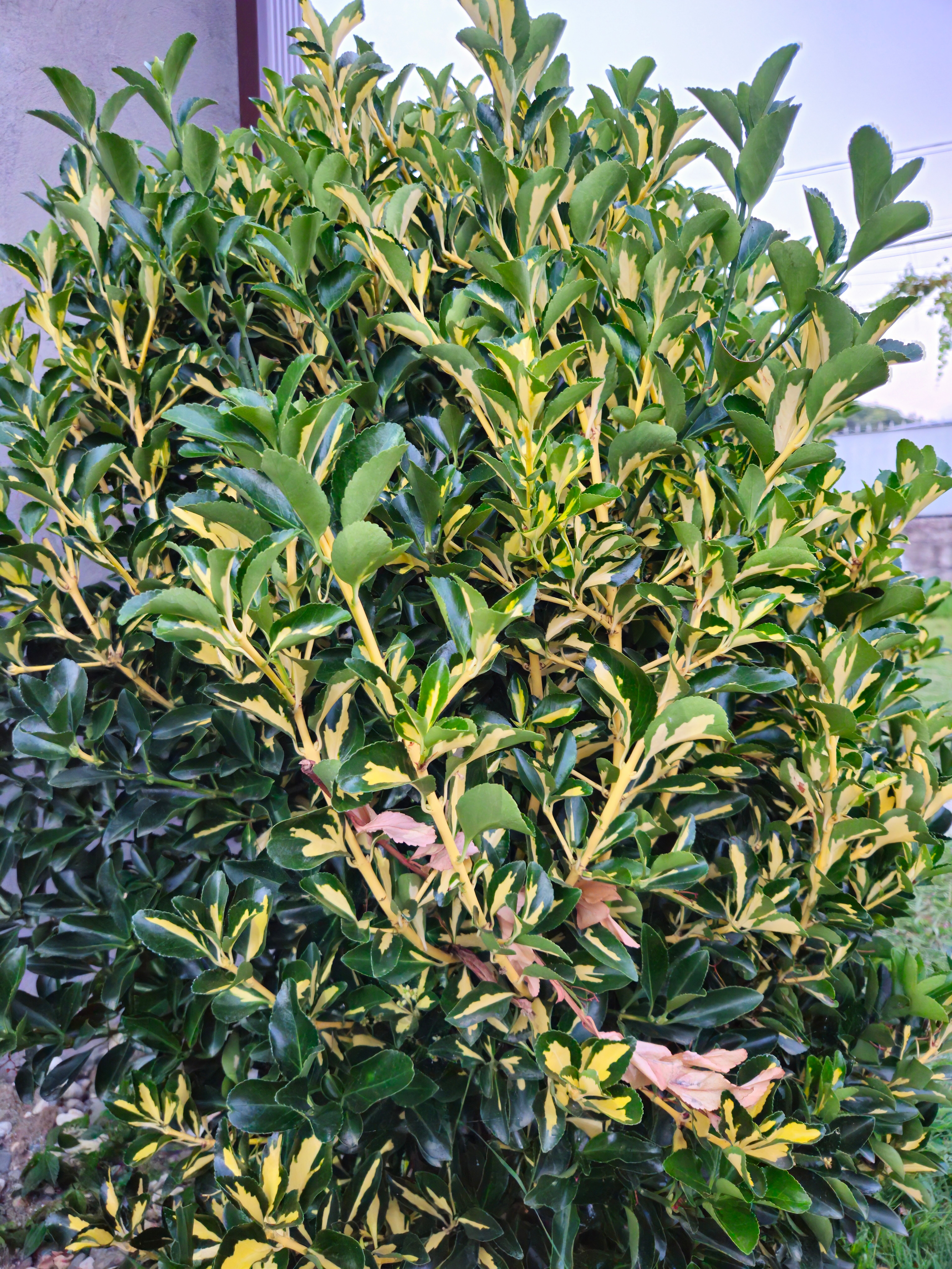 Фото Sea land cottege