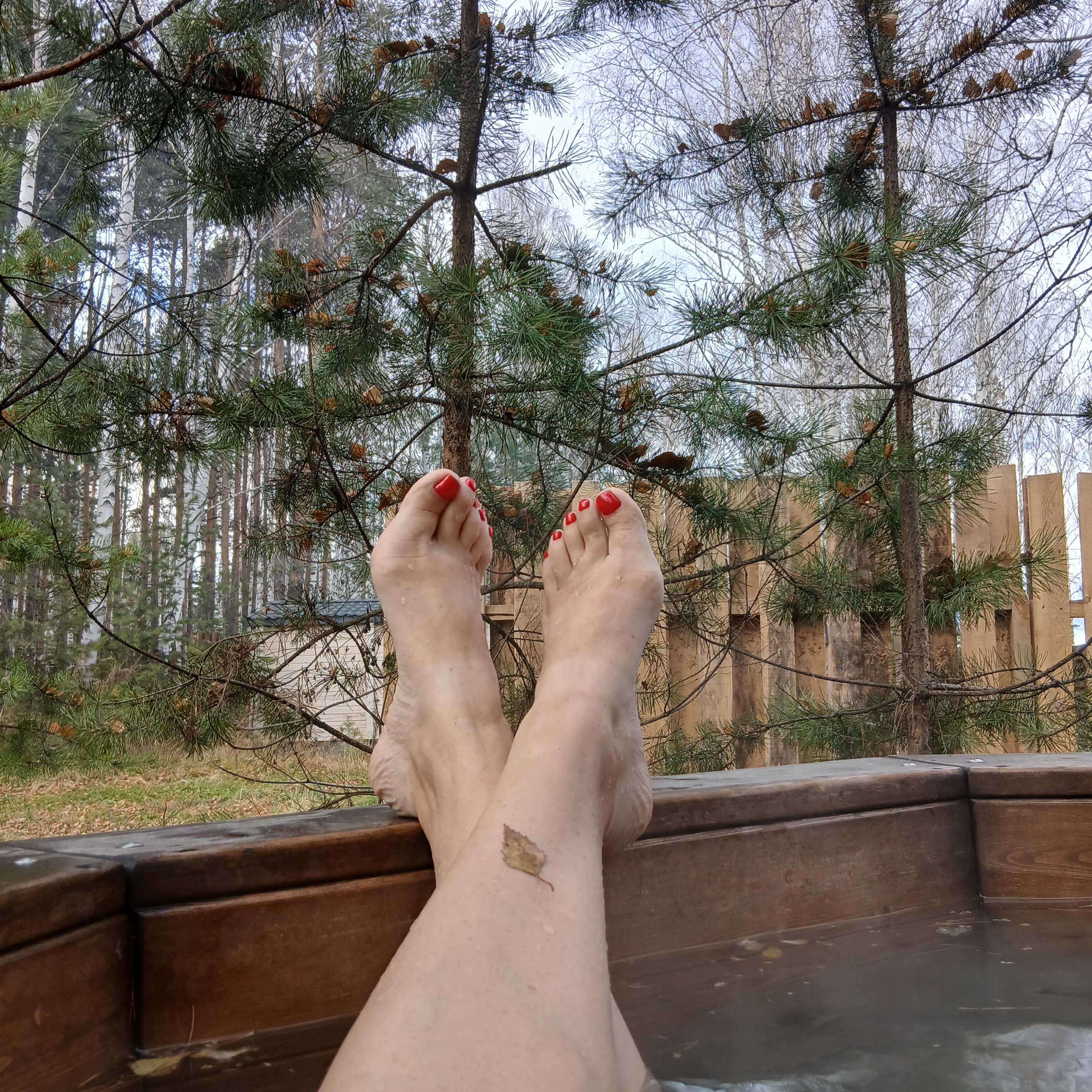 Фото DreamHouse Village