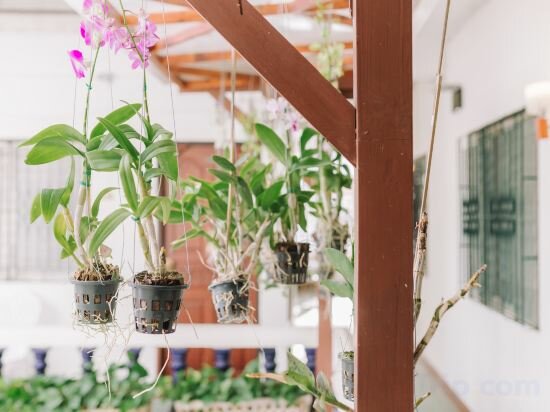 Фото Rendezvous Oldtown Chiangmai