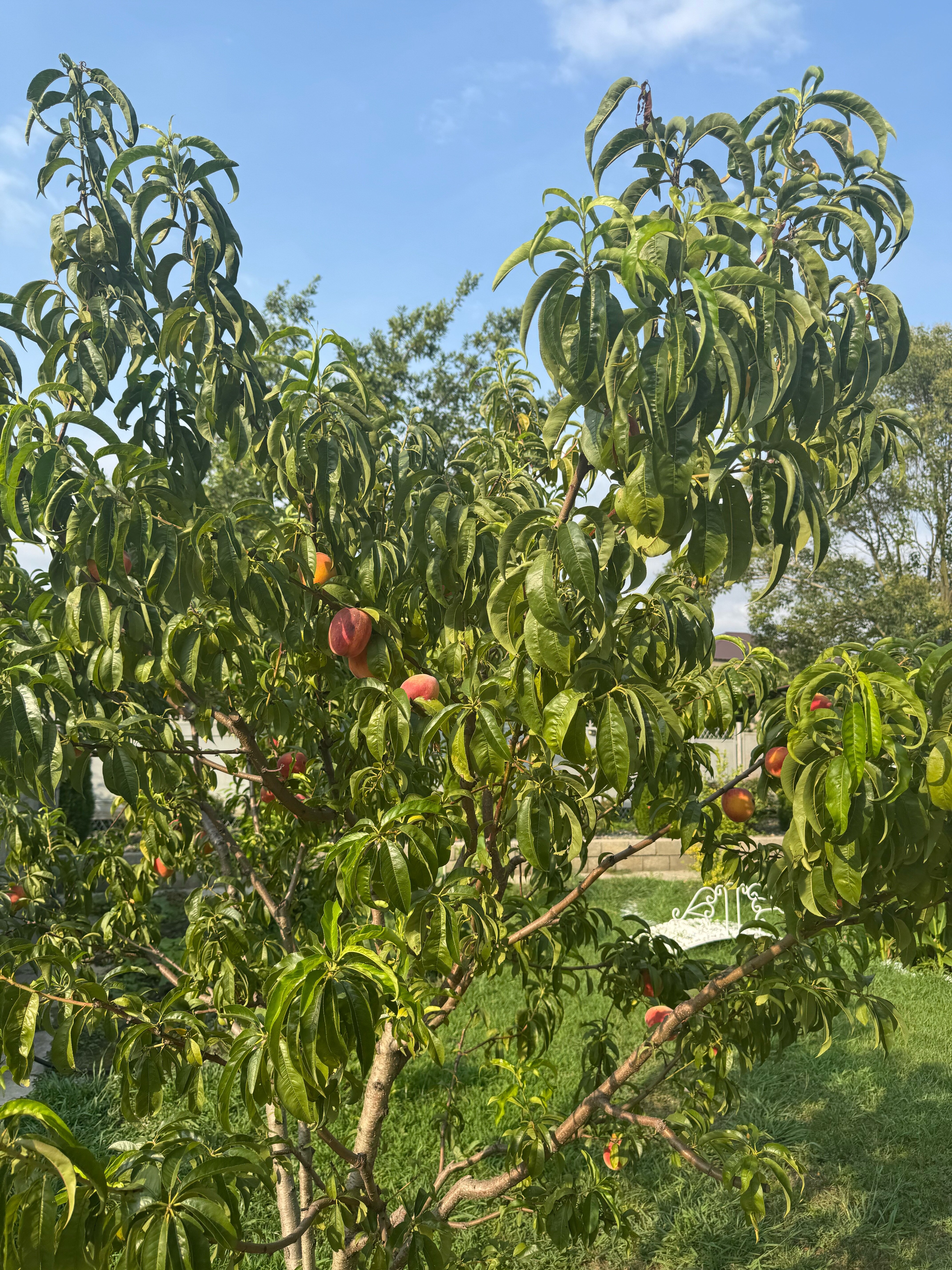 Фото Гостевой дом 524