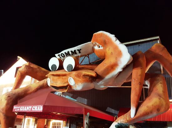 Фото Camelot by the Sea by Palmetto Vacations