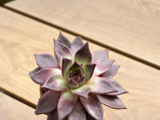 Фото DoubleTree by Hilton London - Hyde Park