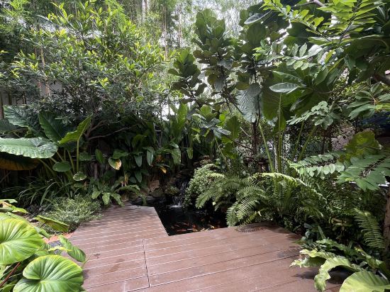 Фото Bonita House