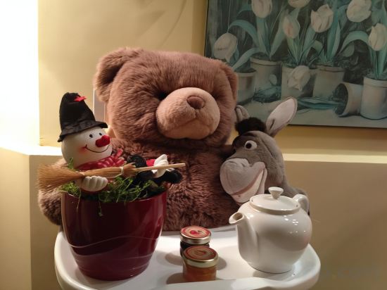 Фото Hotel Virgina