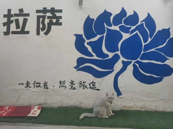 Hotel Lhasa Yuanqi Inn, Lhasa, photo