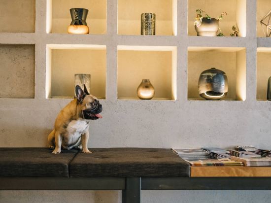 Фото The Douglas Autograph Collection