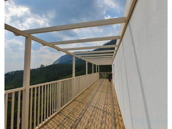 Фото Chandys Windy Woods