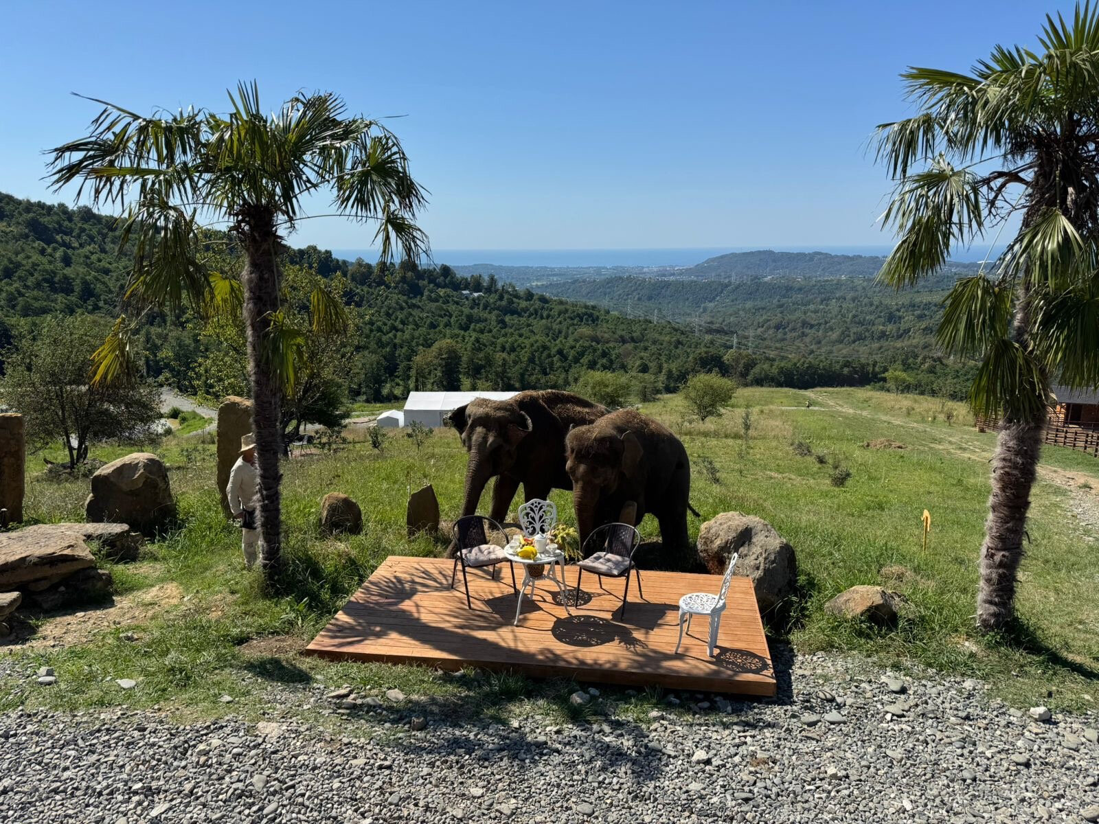 Фото Дачный квартал