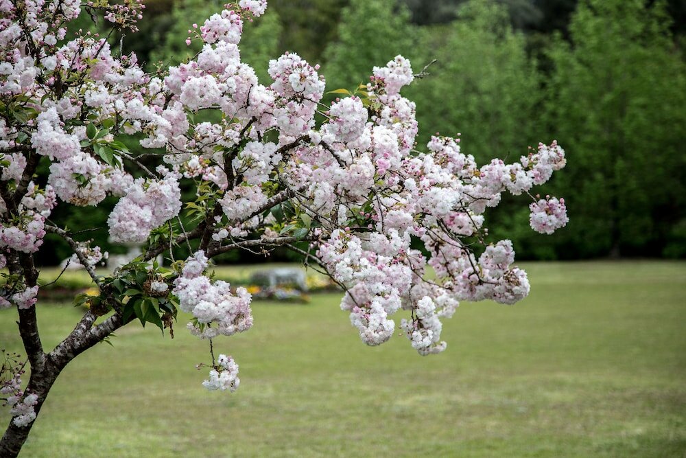 Фото Hotel Gramado Palace