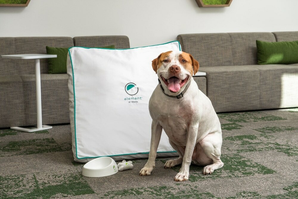 Фото Element San Jose Milpitas