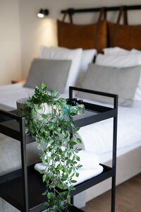 Гостиница La Farine Hotel & Patisserie