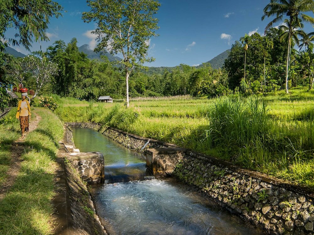 Фото Seseh Beach Villas
