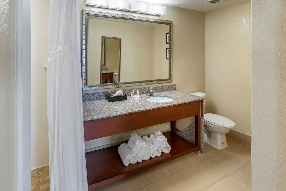 Фото Comfort Inn & Suites Lincoln Talladega I-20