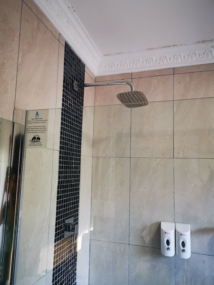 Фото The Green Olive Guesthouse