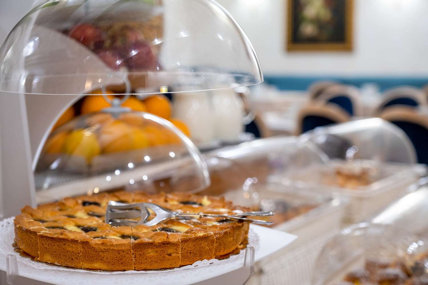 Фото Quality Hotel Nova Domus