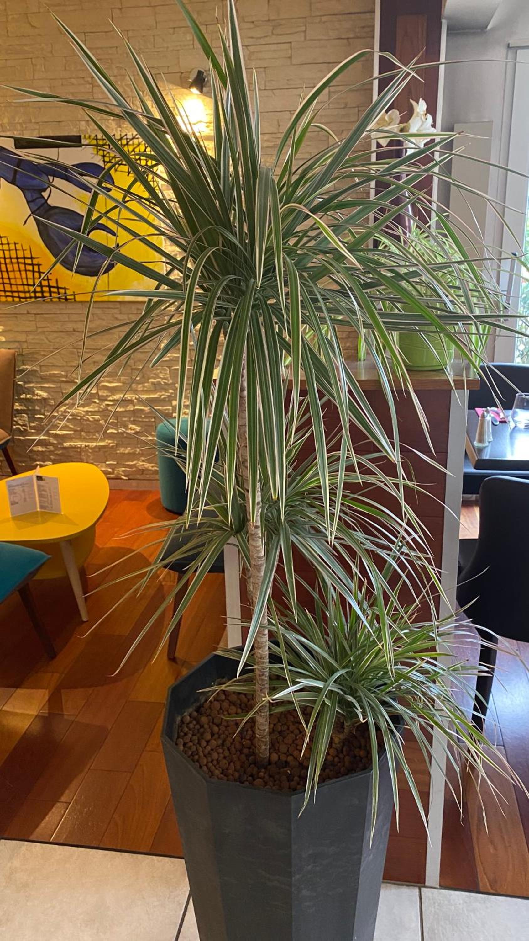 Фото Beaujoire Hotel