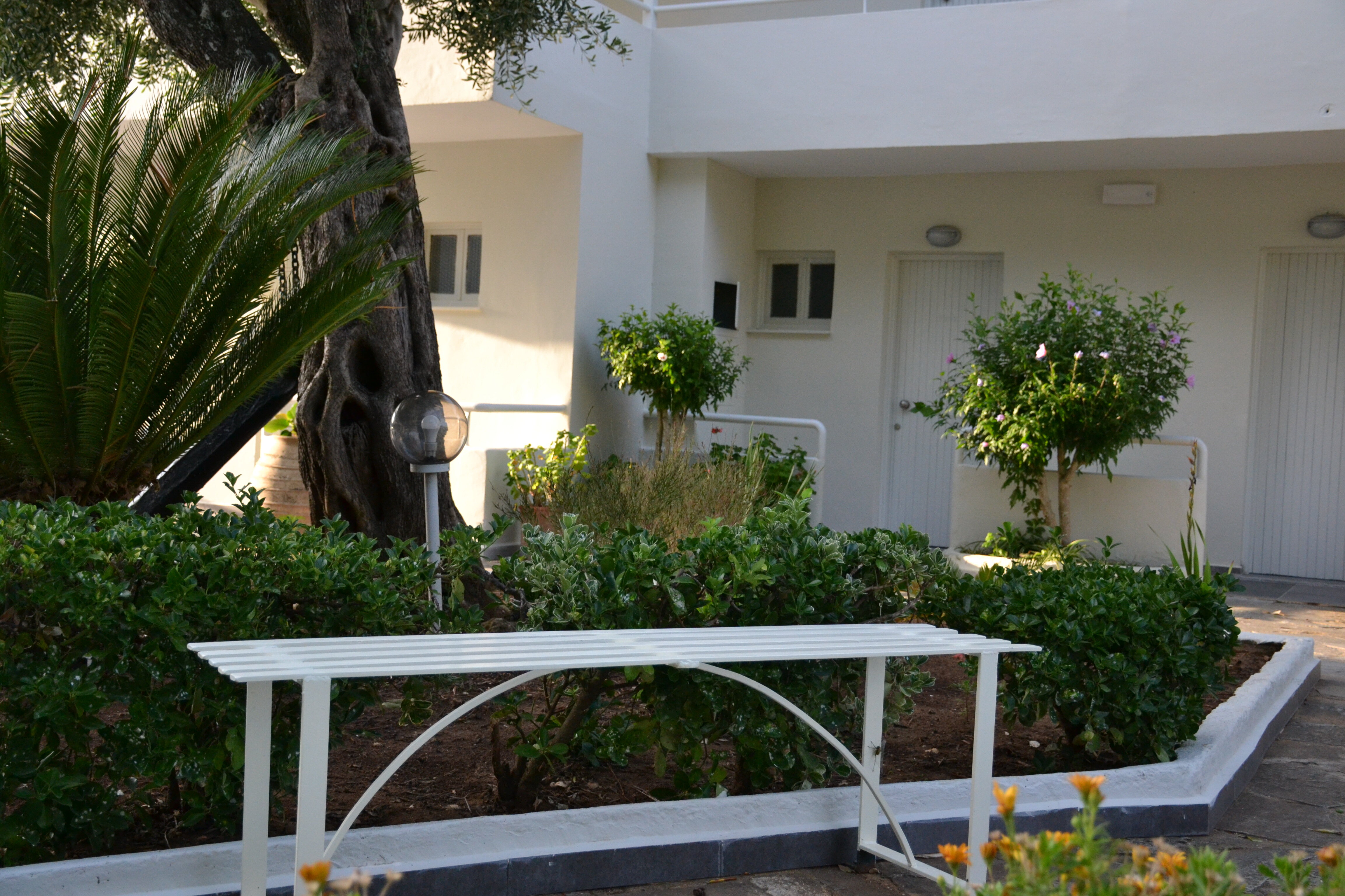 Фото Dassia Holiday Club