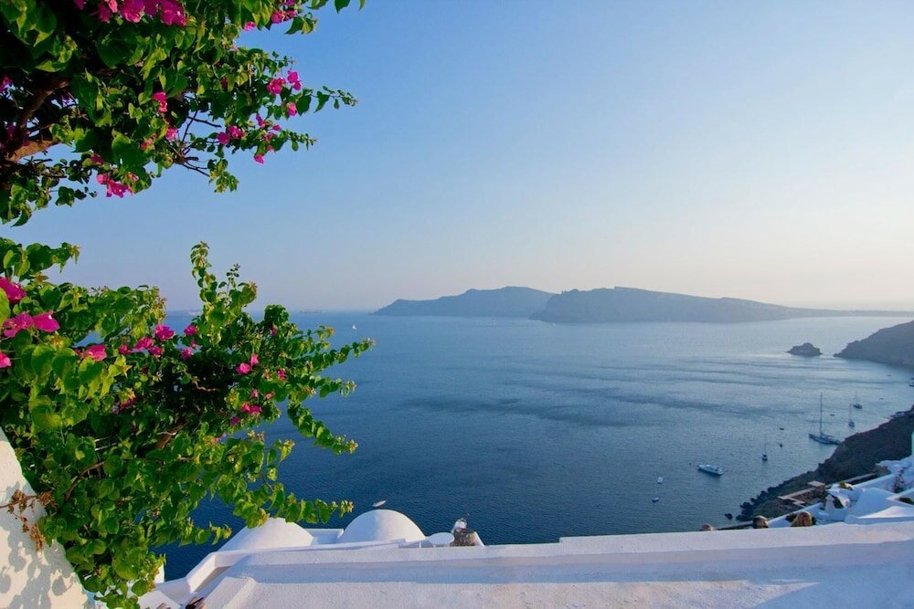 Фото Olympic Villas