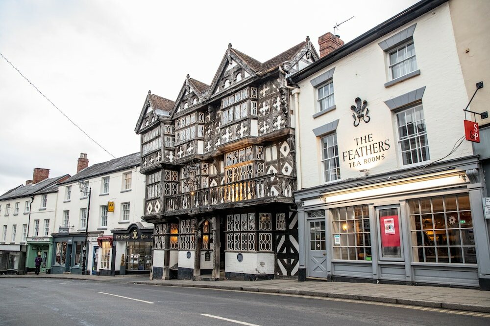 Фото The Feathers Hotel