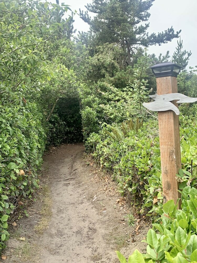 Фото The Grey Gull