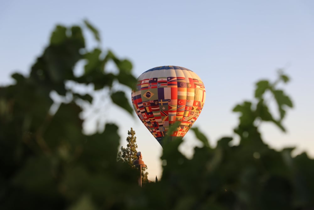 Фото South Coast Winery Resort and SPA