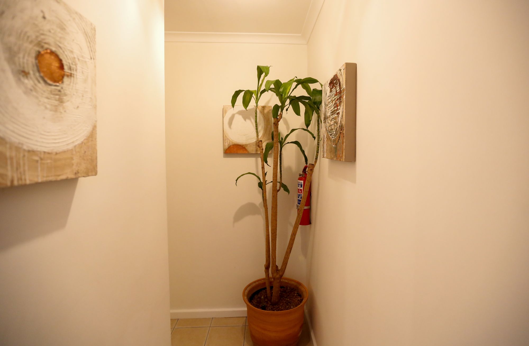 Фото Secret Garden Guesthouse