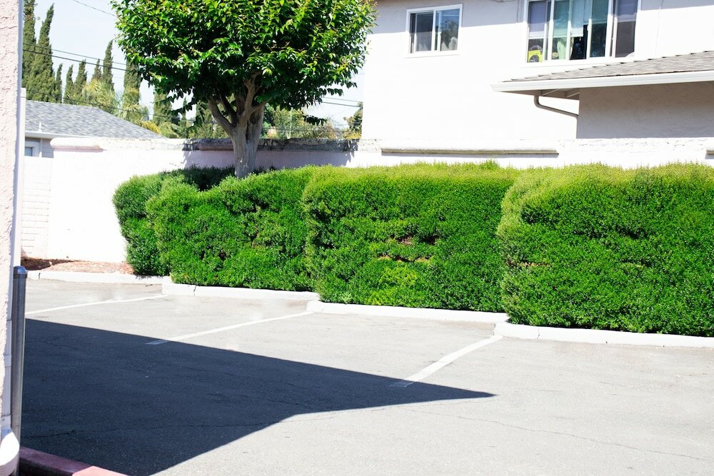 Фото Discovery Inn