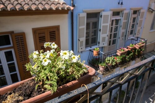 Внешний вид отеля Dias Hotel в Муниципальной единице Нафплионе, фото 5