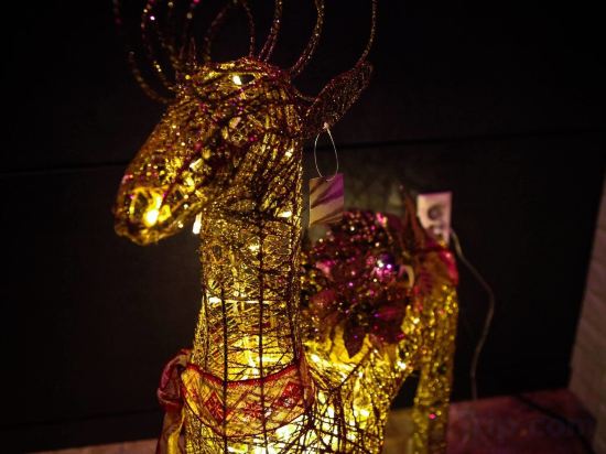 Фото Check Inn Hotel Jeju