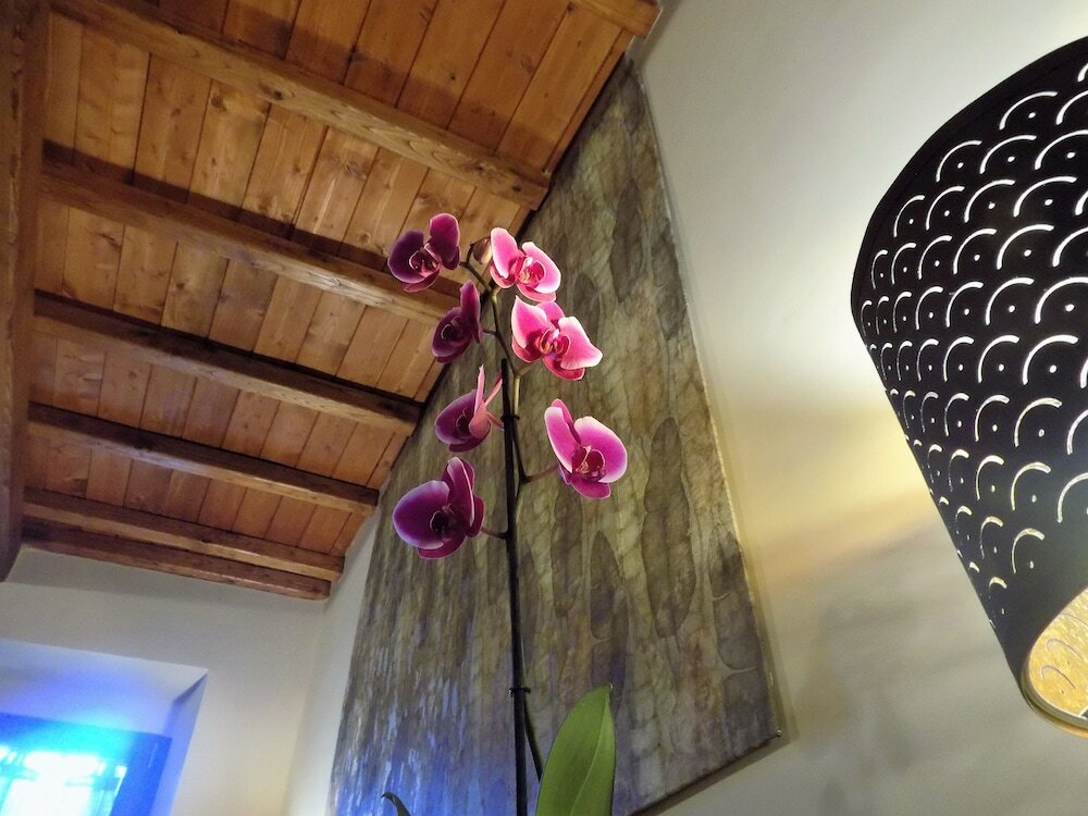 Фото B&b Al Cardinale