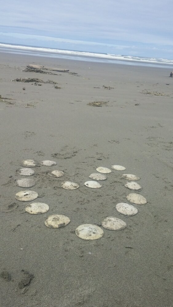 Фото Shakti Cove Cottages