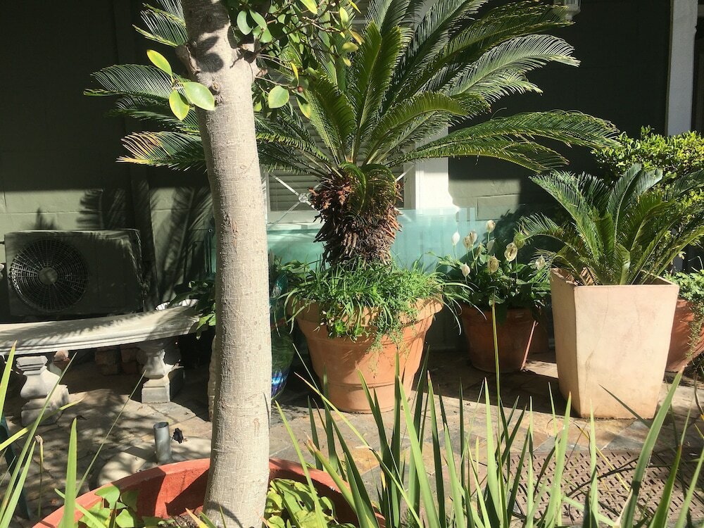 Фото Gordons Guesthouse