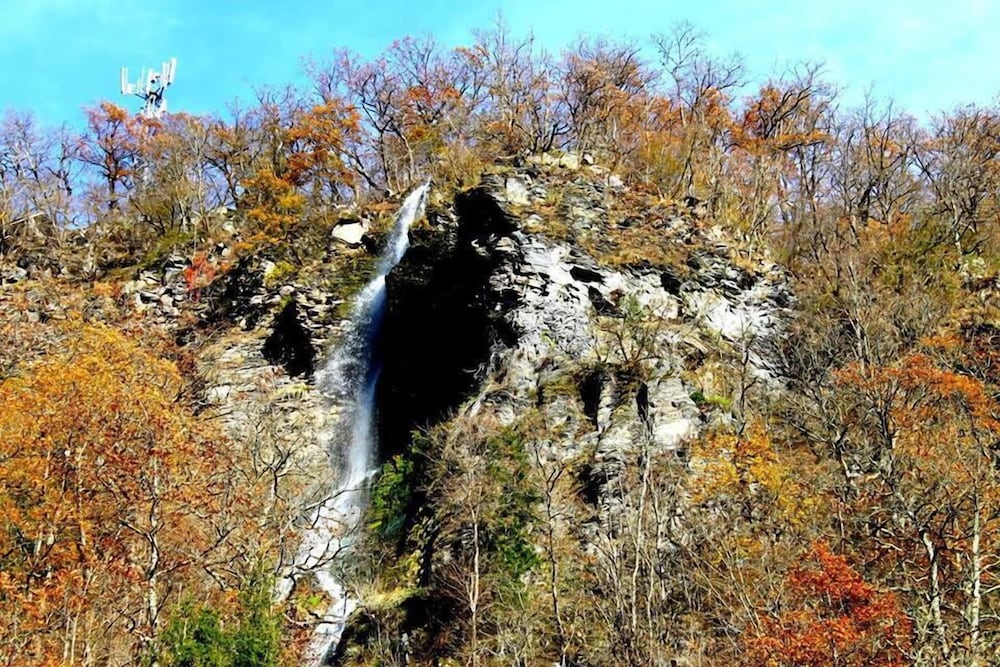 Фото Borjomi Palace