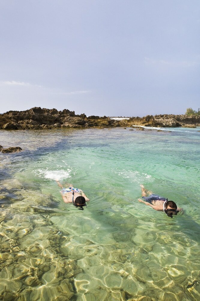 Фото Hyatt Regency Waikiki Beach Resort & SPA